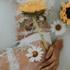 bloom