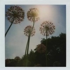 Coup de Grâce - Prod by Carta