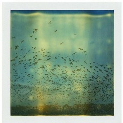 Amazon ft. Burt - Prod by 7ayyboii