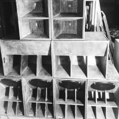 Steppin Outta Babylon//Dubbin Outta Babylon//Runnin Outta Babylon