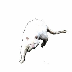 Liryc Player Of Space