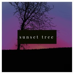 sunset tree