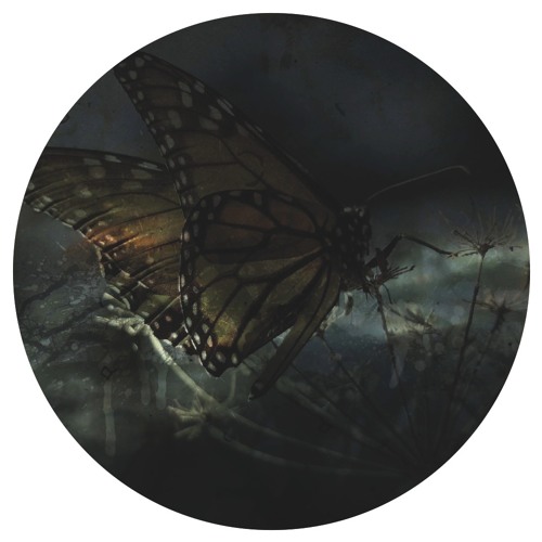 Arkada 002