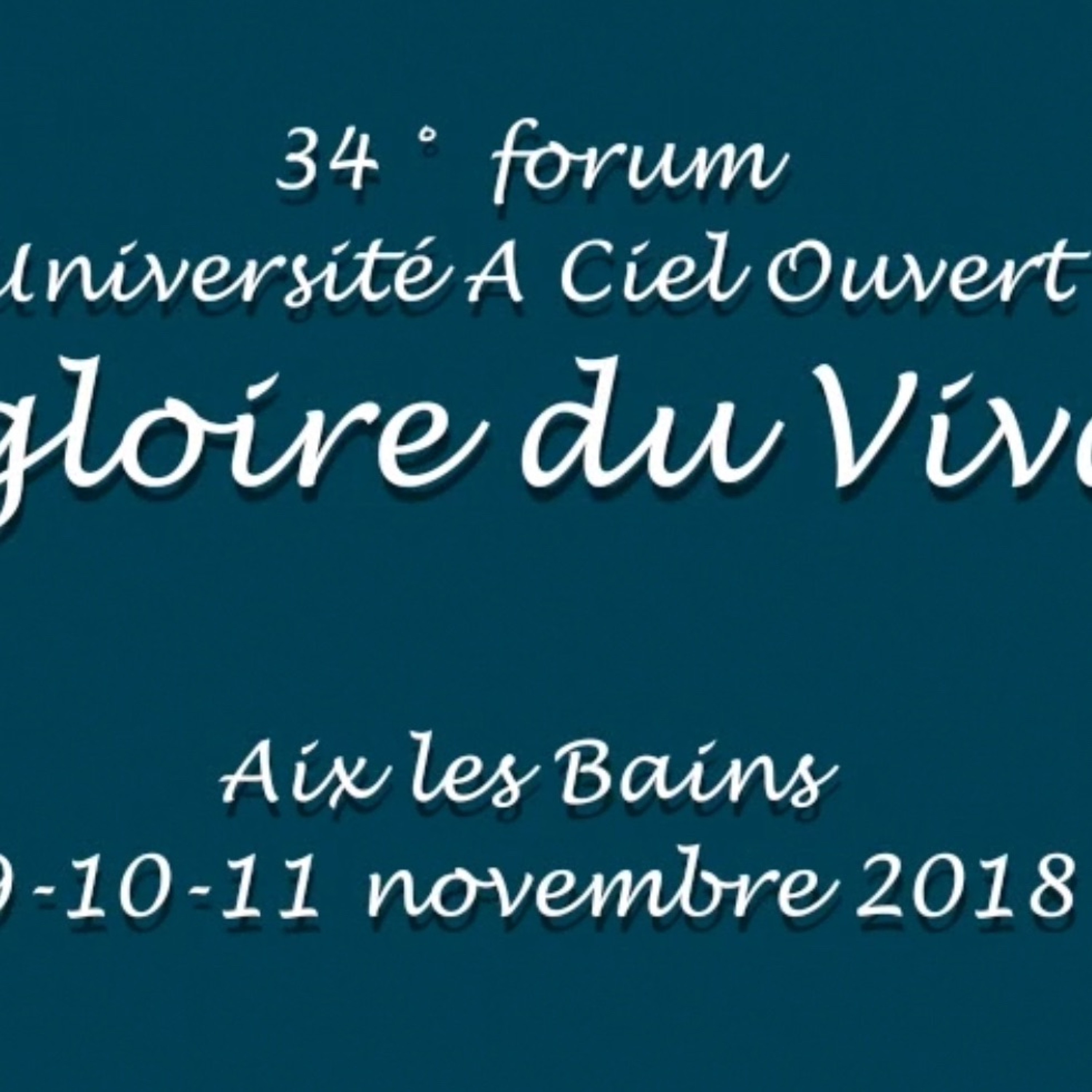 Ecologie et islam (Forum "A Ciel Ouvert" de novembre 2018) episode artwork
