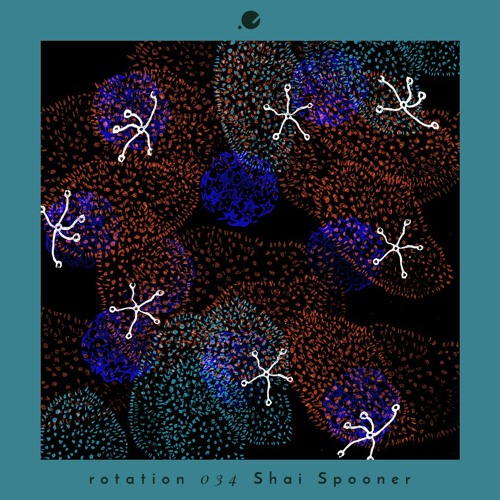 Shai Spooner • Rotation 034