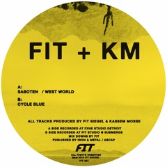 FIT Siegel & Kassem Mosse - West World clip (forthcoming on new EP January 2019)