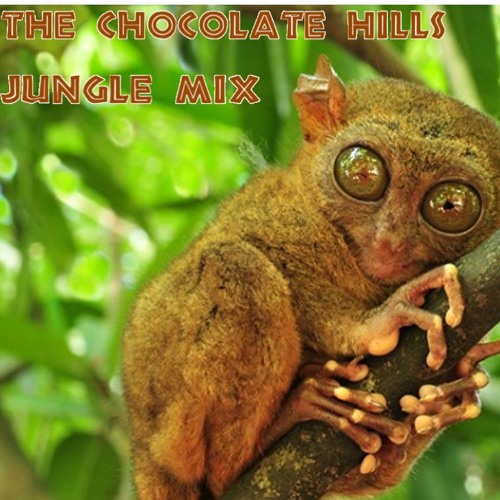 The Chocolate Hills Jungle Mix