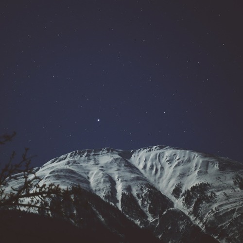 Wrongwave // Moonlight
