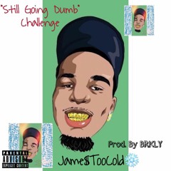 Still Going Dumb Challenge Official Prod By BRKLY