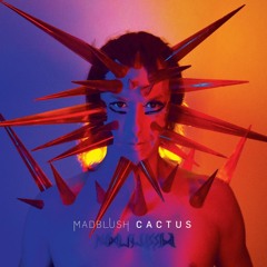 CACTUS - Album