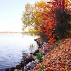 Lost in You (Acoustic)