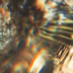 The Happy Polska/Mirhalling with Louise Bichan