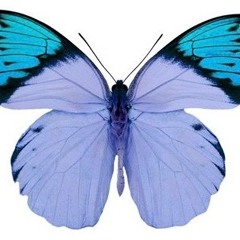 Old School Epic Tracks - Vocal House 2019