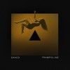Shaed Trampoline Noes And Tomline Remix Mp3