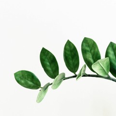 Fantasia for Clarinet and Piano - Revised Version