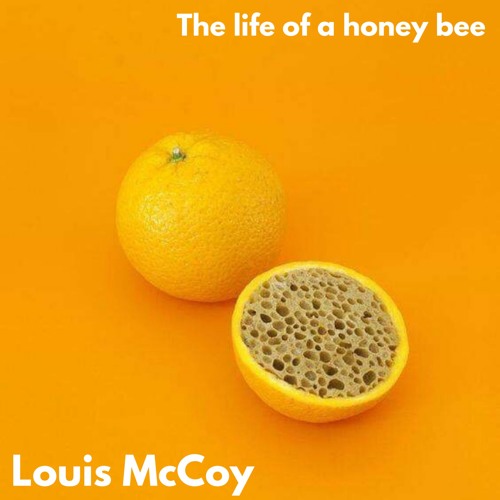 BSS#06: The Life Of a Honey Bee - Louis McCoy