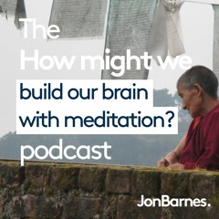 #6 HMW... build our brain with meditation? with Susana Novais