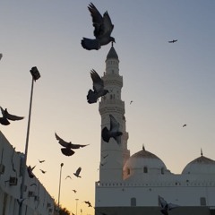 تلاوة من سورة آل عمران | د.أحمد الحذيفي | ليلة 4 رمضان 1431هـ | بمسجد قباء