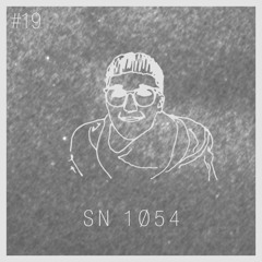 SN 1Ø54 - Sonntagsinstitut Podcast #19