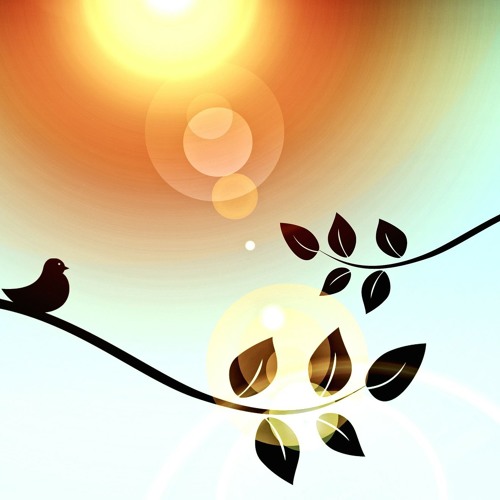 Je Peux T'aimer En Attendant