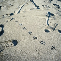 Japanese hiphop mix pt1