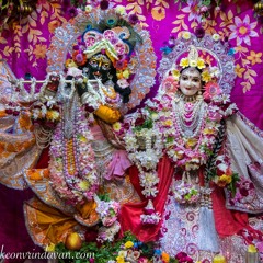 Kirtan Premi 16.12.18 24hr Vrindavan Kirtan Mandali