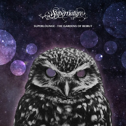 Premiere: Superlounge - Night Owls And Lovebirds [Supernature]