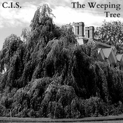 The Weeping Tree