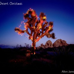 Desert Christmas