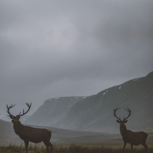 Robert Farrugia - Textures