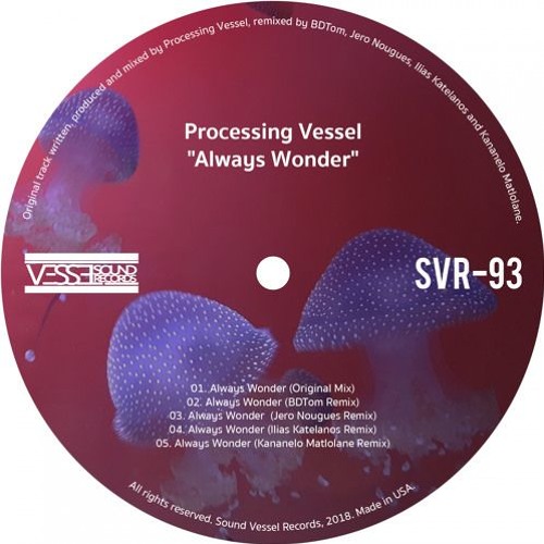 Processing Vessel - Always Wonder BDTom Rmx CuT