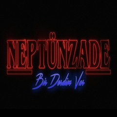 BirDerdimVar - Neptünzade Cover (ft. Salman Tin)