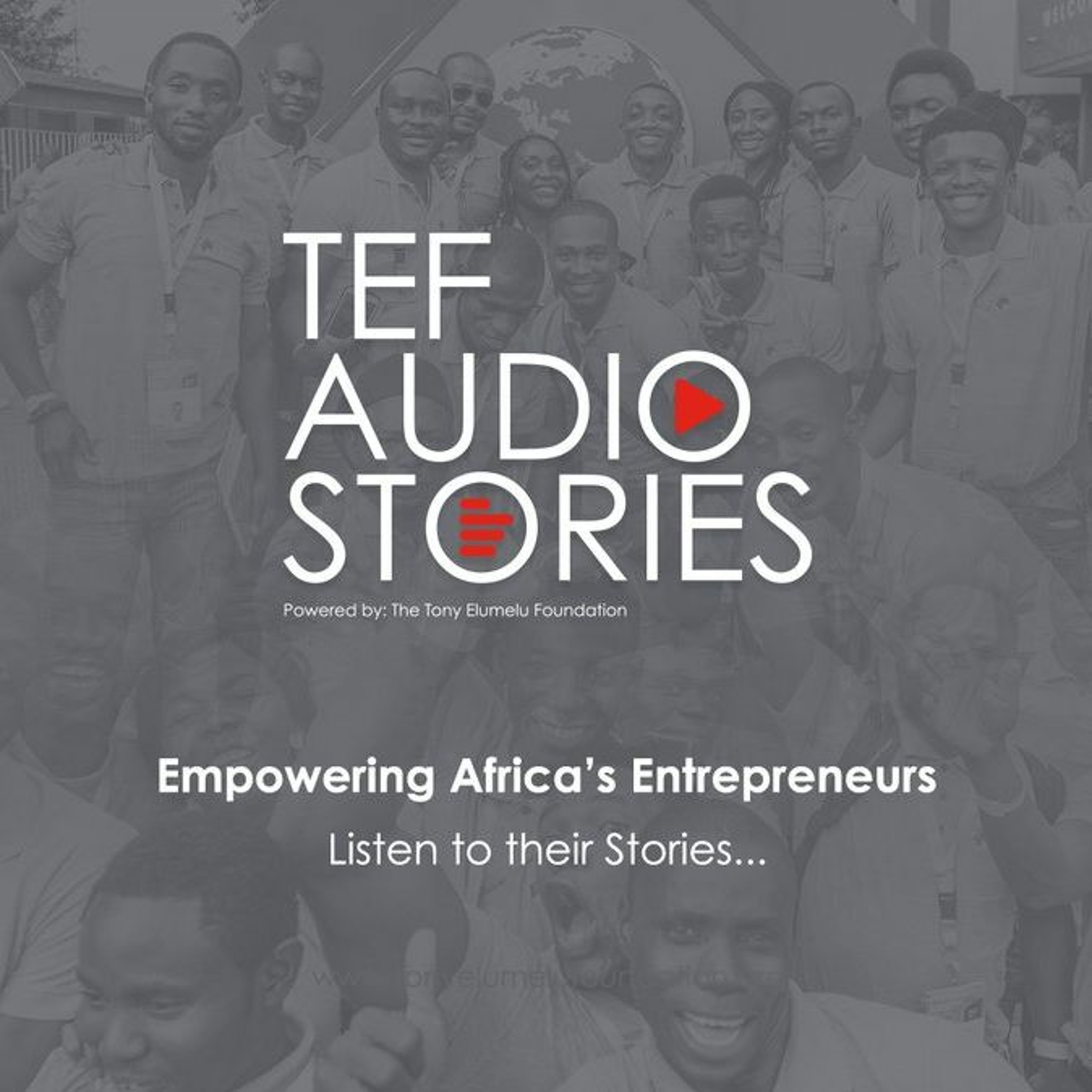 The Tony Elumelu Foundation