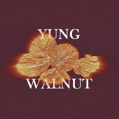 the life of a walnut