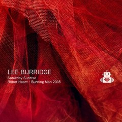 Lee Burridge - Robot Heart - Burning Man 2018.