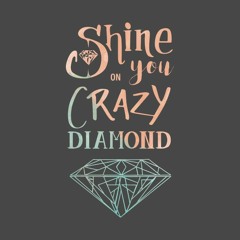 Shine On You Crazy Diamond - Pink Floyd Sample