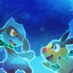 Partner's Theme