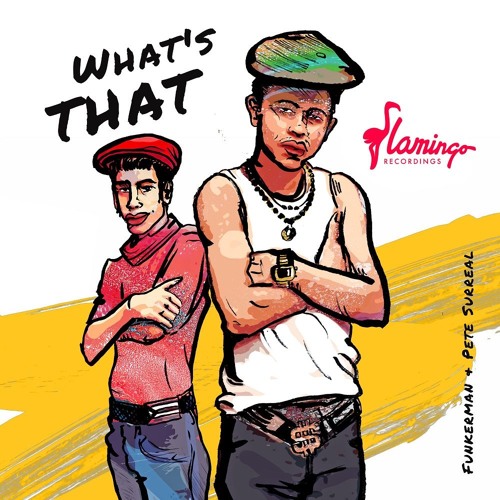 Funkerman & Pete Surreal - What's That?