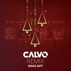 X-MAS GIFT | Nick Jonas & Robin Schulz - Right Now (CALVO Radio Edit) | BUY = Free Download