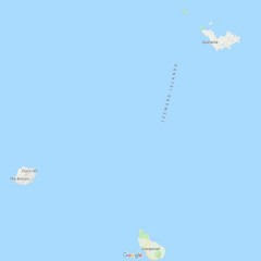 riri x ssaliva echomaster