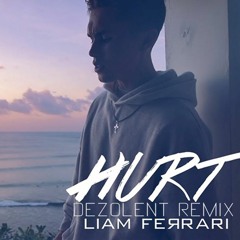 Liam Ferrari - Hurt (Dezolent Remix)
