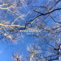 Confidence