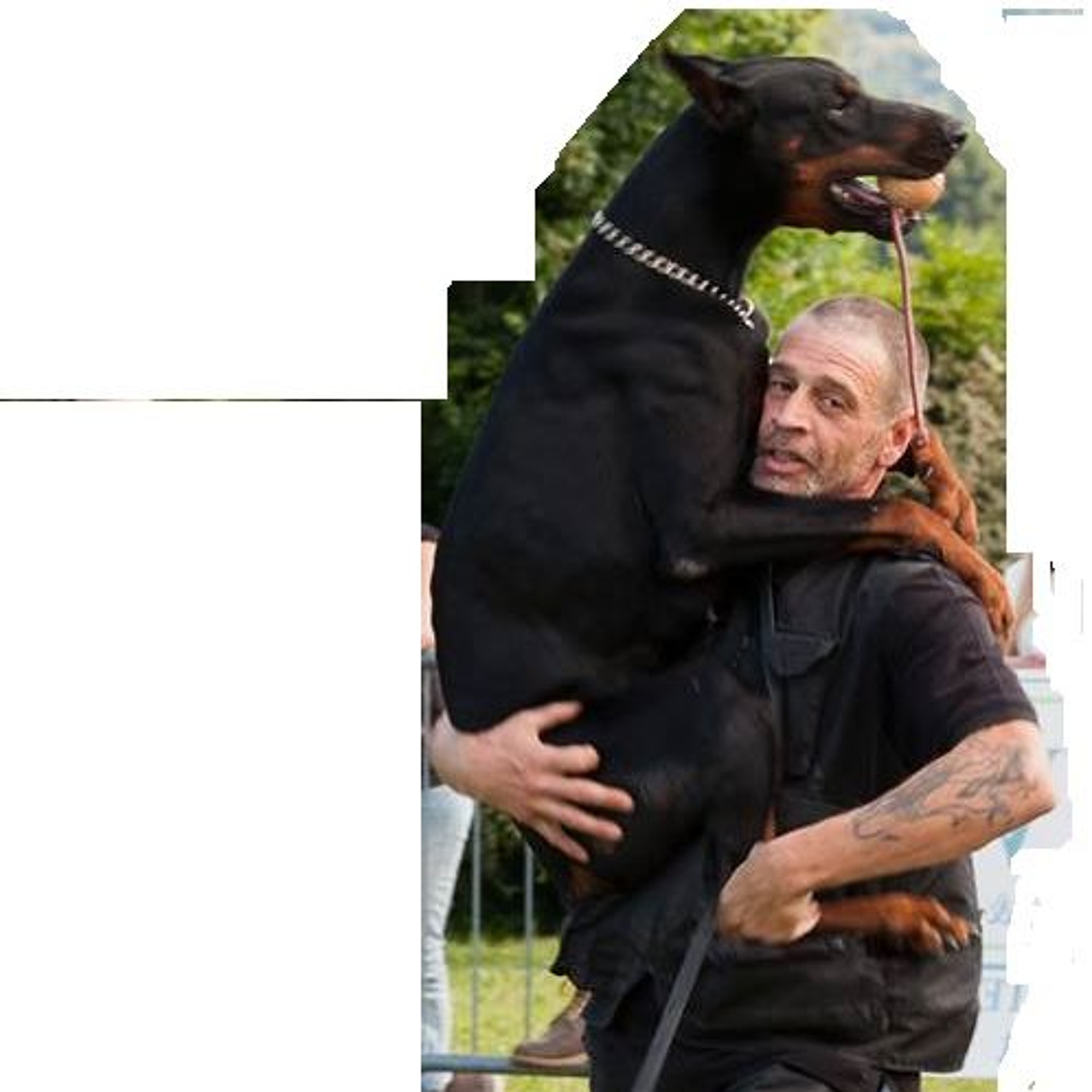 Track cover