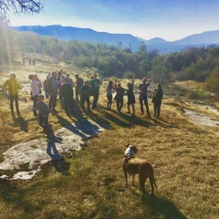 Live at Feeling the Ceiling NYE-Eve 2018