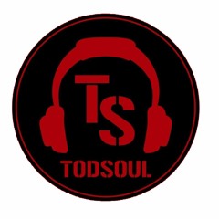 Dj Todsoul Mix 2019 Afrobeat | Dancehall |Moombahtom