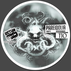 Pareidolia - Drop It [SECTION8110]