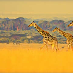 Africa (Toto Instrumental Cover)