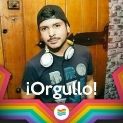 DJ RAFLEX VOL1. MISCELLANEOUS / DIVERSITY DANCE