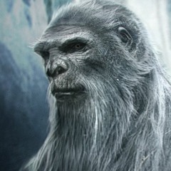 Shore to Shore feat. Malachi (demo)