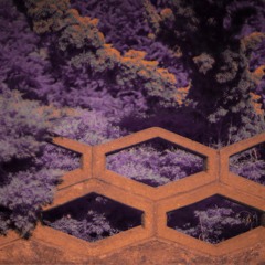 ASIRIS RISING PODCAST OUTRO